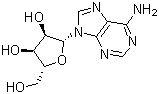L-腺苷分子结构 (CAS 3080-29-3)