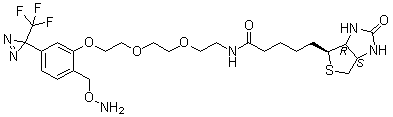 CAS # 308085-26-9, (3aS,4S,6aR)-N-[2-[2-[2-[2-[(Aminooxy)methyl]-5-[3-(trifluoromethyl)-3H-diazirin-3-yl]phenoxy]ethoxy]ethoxy]ethyl]hexahydro-2-oxo-1H-thieno[3,4-d]imidazole-4-pentanamide