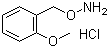 O-[(2-甲氧基苯基)甲基]羟胺盐酸盐分子结构 (CAS 317821-72-0)