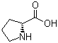 structure of CAS# 344-25-2, Proline