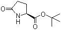 L-焦谷氨酸叔丁酯分子结构 (CAS 35418-16-7)