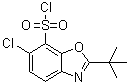 2-叔丁基-6-氯苯并恶唑-7-磺酰氯分子结构 (CAS 361392-60-1)