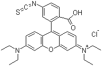 structure of CAS# 36877-69-7, 罗丹明 B 异硫氰酸酯
