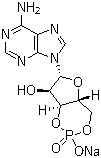 腺苷-3',5'-环磷酸酯钠分子结构 (CAS 37839-81-9)