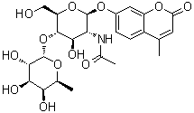 7-[[2-(乙酰氨基)-2-脱氧-4-O-(6-脱氧-alpha-L-吡喃半乳糖基)-beta-D-吡喃葡萄糖基]氧基]-4-甲基-2H-1-苯并吡喃-2-酮分子结构 (CAS 383160-13-2)