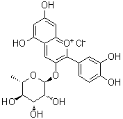 CAS # 38533-30-1, Cyanidin 3-rhamnoside, 3',4',5,7-Tetrahydroxy-3-(rhamnosyloxy)flavylium chloride