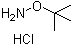 O-叔丁基羟胺盐酸盐分子结构 (CAS 39684-28-1)