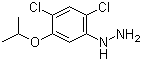 2,4-二氯-5-异丙氧基苯肼分子结构 (CAS 40178-22-1)
