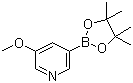 structure of CAS# 445264-60-8, 3-甲氧基-5-吡啶硼酸频哪醇酯
