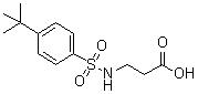 N-[[4-叔丁基苯基]磺酰基]-beta-丙氨酸分子结构 (CAS 453581-51-6)