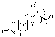 structure of CAS# 472-15-1, 白桦脂酸