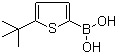 CAS # 495382-48-4, 5-tert-Butylthiophene-2-boronic acid
