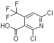 2,6-二氯-4-(三氟甲基)烟酸分子结构 (CAS 503437-19-2)