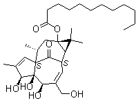 CAS 登录号：54706-70-6, 正十二烷酸巨大戟酯