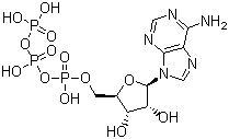 structure of CAS# 56-65-5, Adenosine triphosphate