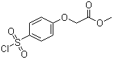 2-[4-(氯磺酰基)苯氧基]乙酸甲酯分子结构 (CAS 56077-78-2)
