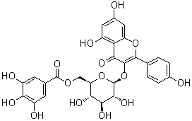 CAS 登录号：56317-05-6, 山柰酚 3-O-(6-O-没食子酰)-beta-D-吡喃葡萄糖苷