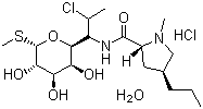 CAS 登录号：58207-19-5, 盐酸克林霉素一水合物