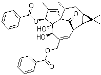 CAS 登录号：59086-90-7, (+)-巨大戟醇 3,20-二苯甲酸酯