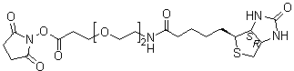 N-[2-[2-[3-[(2,5-二氧代-1-吡咯烷基)氧基]-3-氧代丙氧基]乙氧基]乙基]六氢-2-氧代-1H-噻吩并[3,4-d]咪唑-4-戊酰胺分子结构 (CAS 596820-83-6)