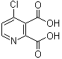 4-氯吡啶-2,3-二甲酸分子结构 (CAS 605661-85-6)