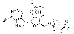 2'-磷酰腺苷 5'-磷酰硫酸酯分子结构 (CAS 62230-89-1)