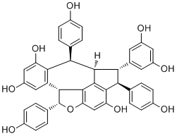 葡萄醇 D分子结构 (CAS 625096-18-6)