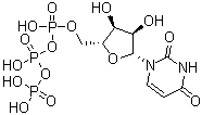 Uridine 5'-(tetrahydrogen triphosphate) molecular structure (CAS 63-39-8)