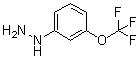 structure of CAS# 650628-49-2, [3-三氟甲氧基苯基]肼