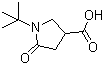 structure of CAS# 66366-87-8, 1-叔丁基-5-氧代吡咯烷-3-甲酸