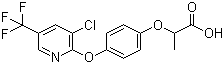 structure of CAS# 69806-34-4, 吡氟氯禾灵