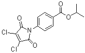structure of CAS# 704878-75-1, 4-(3,4-二氯-2,5-二氢-2,5-二氧代-1H-吡咯-1-基)苯甲酸异丙酯