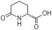 structure of CAS# 72002-30-3, D-6-Oxopipecolinic acid