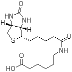 N-生物素己酸分子结构 (CAS 72040-64-3)