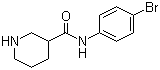 CAS # 749846-52-4, N-(4-Bromophenyl)piperidine-3-carboxamide, Piperidine-3-carboxylic acid (4-bromophenyl)amide