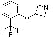 CAS 登录号：76263-24-6, 3-[2-(三氟甲基)苯氧基]氮杂环丁烷