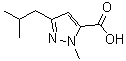 1-甲基-3-(2-甲基丙基)-1H-吡唑-5-羧酸分子结构 (CAS 769132-77-6)