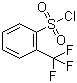 structure of CAS# 776-04-5, 2-三氟甲基苯磺酰氯