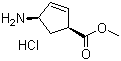 顺式-4-氨基环戊-2-烯-1-甲酸甲酯盐酸盐分子结构 (CAS 77745-25-6)