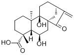 CAS 登录号：81264-00-8, 等效-6,9-二羟基-15-氧代-16-贝壳杉烯-19-酸