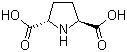 CAS # 81702-31-0, (2S,5S)-2,5-Pyrrolidinedicarboxylic acid