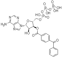 structure of CAS# 81790-82-1, 腺苷 5'-(三磷酸四氢酯) 3'-(4-苯甲酰基苯甲酸酯)