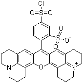 磺基罗丹明 101 磺酰氯分子结构 (CAS 82354-19-6)