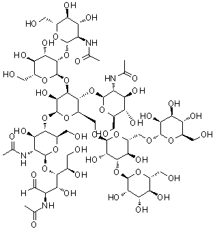 CAS # 84182-21-8, O-2-(Acetylamino)-2-deoxy-beta-D-glucopyranosyl-(1→4)-O-[O-2-(acetylamino)-2-deoxy-beta-D-glucopyranosyl-(1→2)-alpha-D-mannopyranosyl-(1→3)]-O-[O-alpha-D-mannopyranosyl-(1→3)-O-[alpha-D-Mannopyranosyl-(1→6)]-alpha-D-mannopyranosyl-(1→6)]-O-beta-D-mannopyranosyl-(1→4)-O-2-(acetylamino)-2-deoxy-beta-D-glucopyranosyl-(1→4)-2-(acetylamino)-2-deoxy-D-glucose
