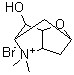 CAS # 845870-40-8, (2S,3aR,5S,6S,6aS)-Hexahydro-6-hydroxy-4,4-dimethyl-2,5-methano-2H-furo[3,2-b]pyrrolium bromide (1:1), Scopoline methobromide