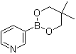 吡啶-3-硼酸新戊二醇酯分子结构 (CAS 845885-86-1)