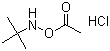 CAS # 851074-40-3, N-(Acetyloxy)-2-methyl-2-propanamine hydrochloride
