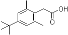 4-叔丁基-2,6-二甲基-alpha-甲苯甲酸分子结构 (CAS 854646-92-7)