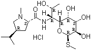 CAS # 859-18-7, Lincomycin hydrochloride, Lincomycin hydrochloride BP98, Lincocin, Lincorex, Lincomycin hydrochloride monohydrate, Methyl (2S-trans)-6,8-dideoxy-6-[[(1-methyl-4-propylpyrrolidin-2-yl)carbonyl]amino]-1-thio-D-erythro-alpha-D-galacto-octopyranoside monohydrochloride