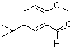 5-叔丁基-2-甲氧基苯甲醛分子结构 (CAS 85943-26-6)